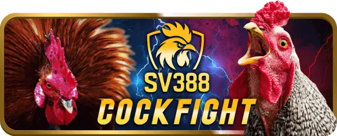 Hình ảnh tổng hợp các môn thể thao khác như eSports, boxing, MMA